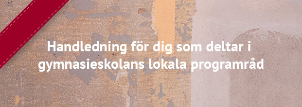 Handledning för dig som deltar i gymnasieskolans lokala programråd