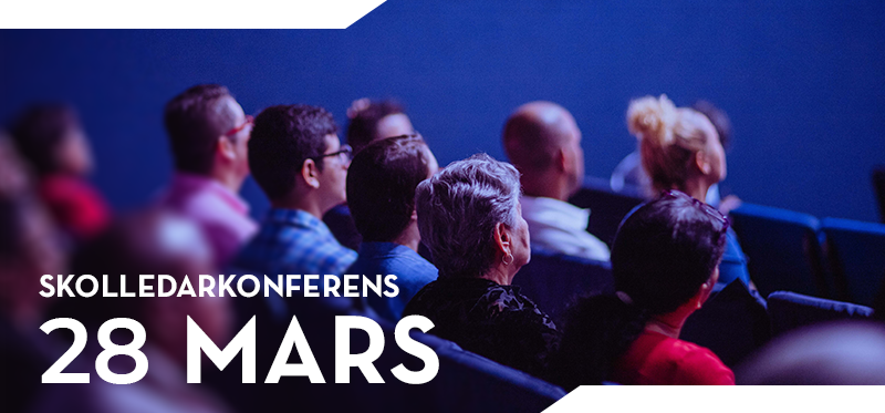 Skolledarkonferens, genrebild